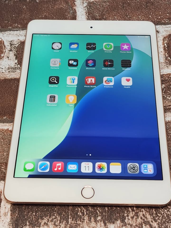 Refurbished iPad Mini 5 (64GB) - Good Condition- with Screen Protector