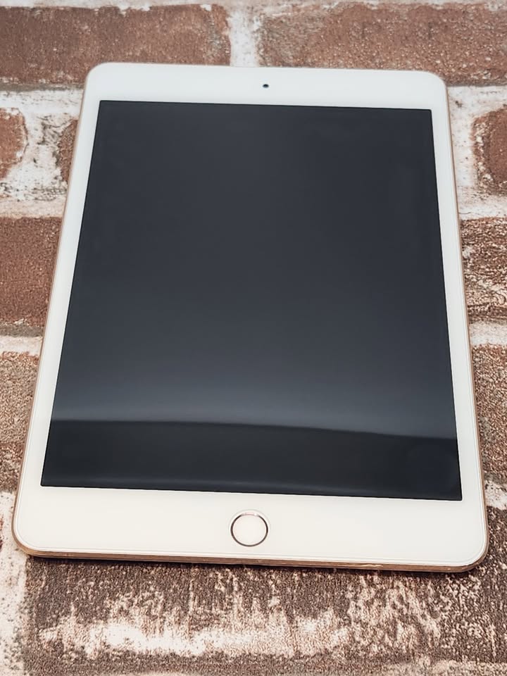 Refurbished iPad Mini 5 (64GB) - Good Condition- with Screen Protector