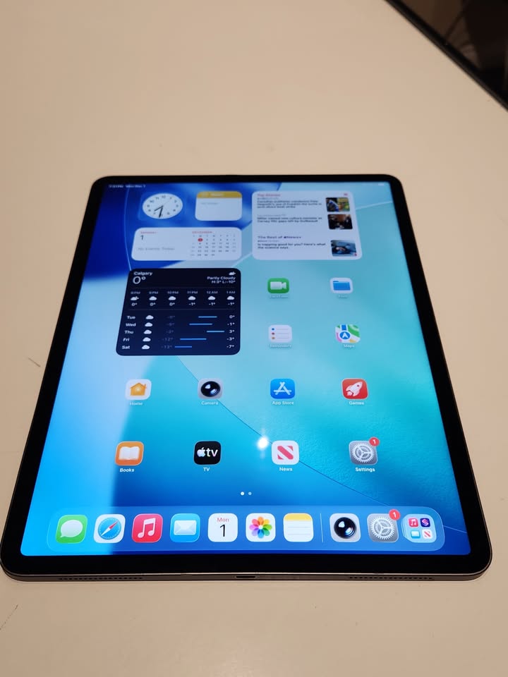 Refurbished iPad Pro 12.9" (3rd Gen) – Space Gray, 256GB, Wi-Fi, Includes New Protective Case!